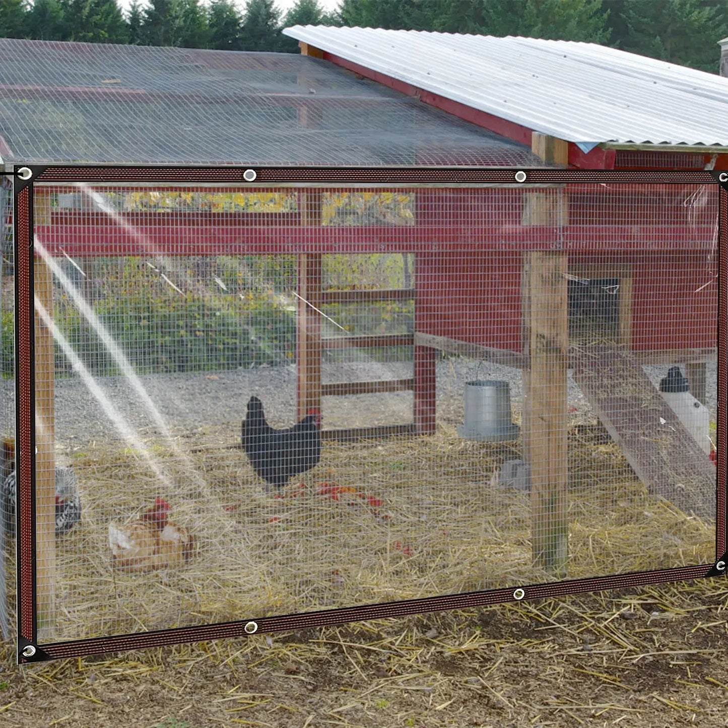 Chicken Coop Cover Transparent Tarpaulin Outdoor Garden Waterproof Run Tarp with Rope Reinforced Edges Chicken Coop Porch Canopy - Vibrant Variety Store