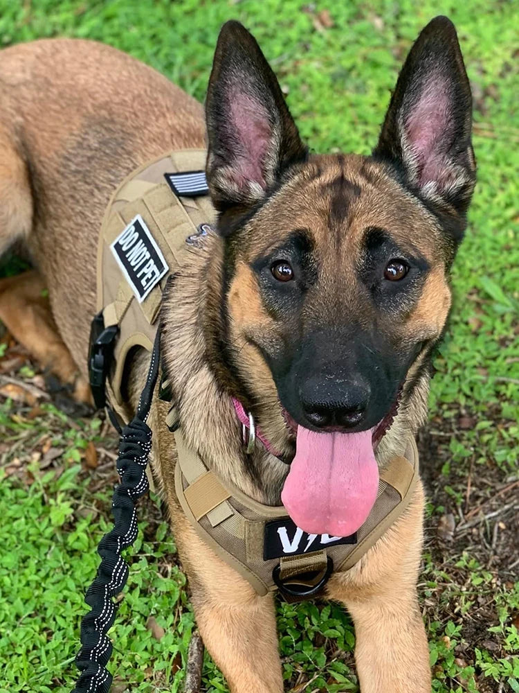 Large Dog Harness for German Shepherd Malinois Training Walking Pet Vest Dog Harnesses For Medium Large Dogs Accessories